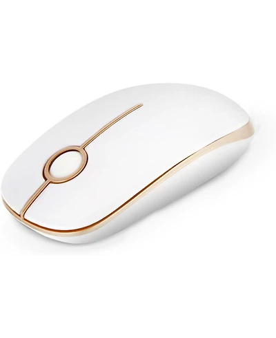 Risokeys Wireless Mouse, 2.4G Slim Portable Computer Mouse with Nano Receiver Quiet Silent Optical Laptop Mouse for Notebook, Pc