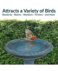 Sunnydaze Decor Outdoor Glass Fiber Reinforced Concrete Patio Garden Facade du Soleil Bird Bath - 26"