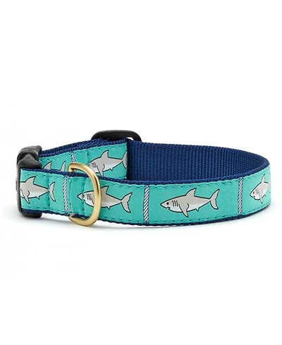Up Country Shark Dog Collar