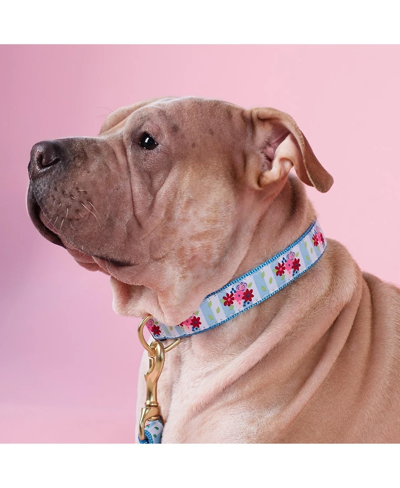 Up Country Bouquet Dog Collar