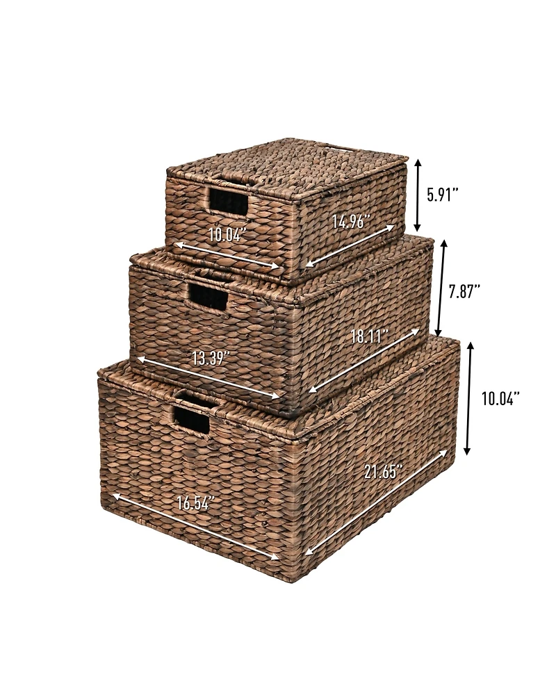 Happimess Brooks Classic Farmhouse Woven Hyacinth Rectangular Storage Baskets with Lids and Handles (Set of 3)
