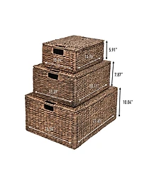 Happimess Brooks Classic Farmhouse Woven Hyacinth Rectangular Storage Baskets with Lids and Handles (Set of 3)