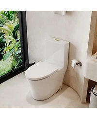 Casainc Dual Flush 1.1/1.6 Gpf Elongated One-Piece One-Piece Bathroom Fixture, Comfort Height, Water-Saving Design, Map 1000g