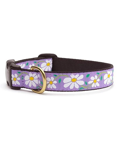 Up Country Daisy Dog Collar