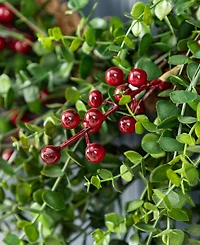 Glitzhome Christmas Greenery Dripping Eucalyptus Wreath and Matched Garlands, Set of 3