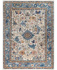 Adorn Hand Woven Rugs Serapi M0103- 8'11"x11'11" Area Rug