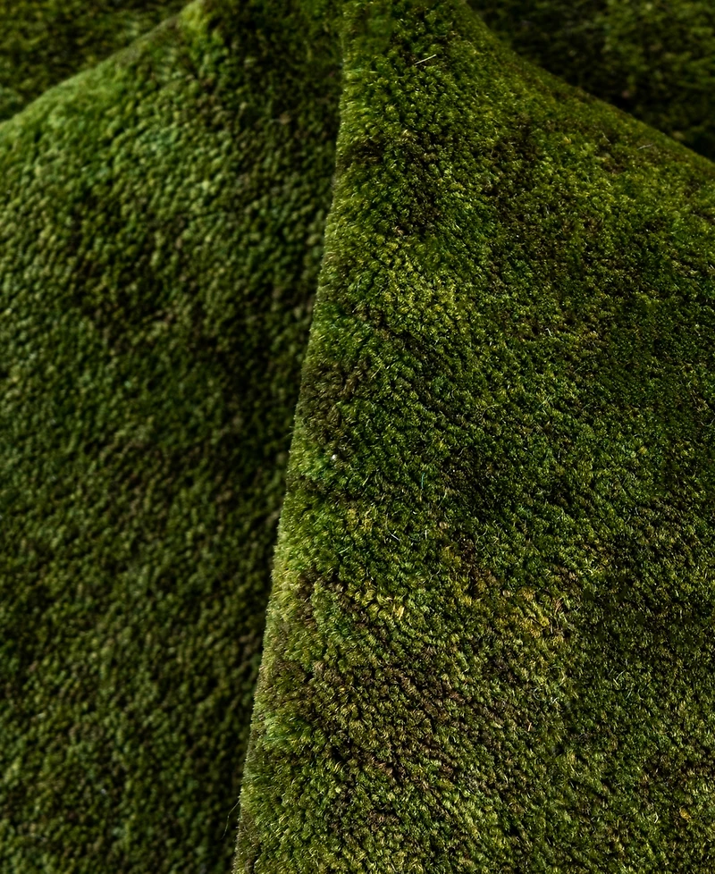 Adorn Hand Woven Rugs Fine Vibrance M1437 4'2"x6' Area Rug