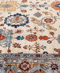 Adorn Hand Woven Rugs Serapi M0103-61 10'1"x14' Area Rug