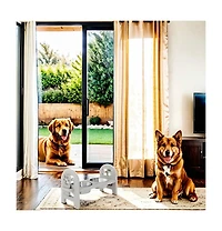 Aostirmotor Space-Saving Collapsible Dog Bowl Lightweight Durable & Perfect for Hiking Travel