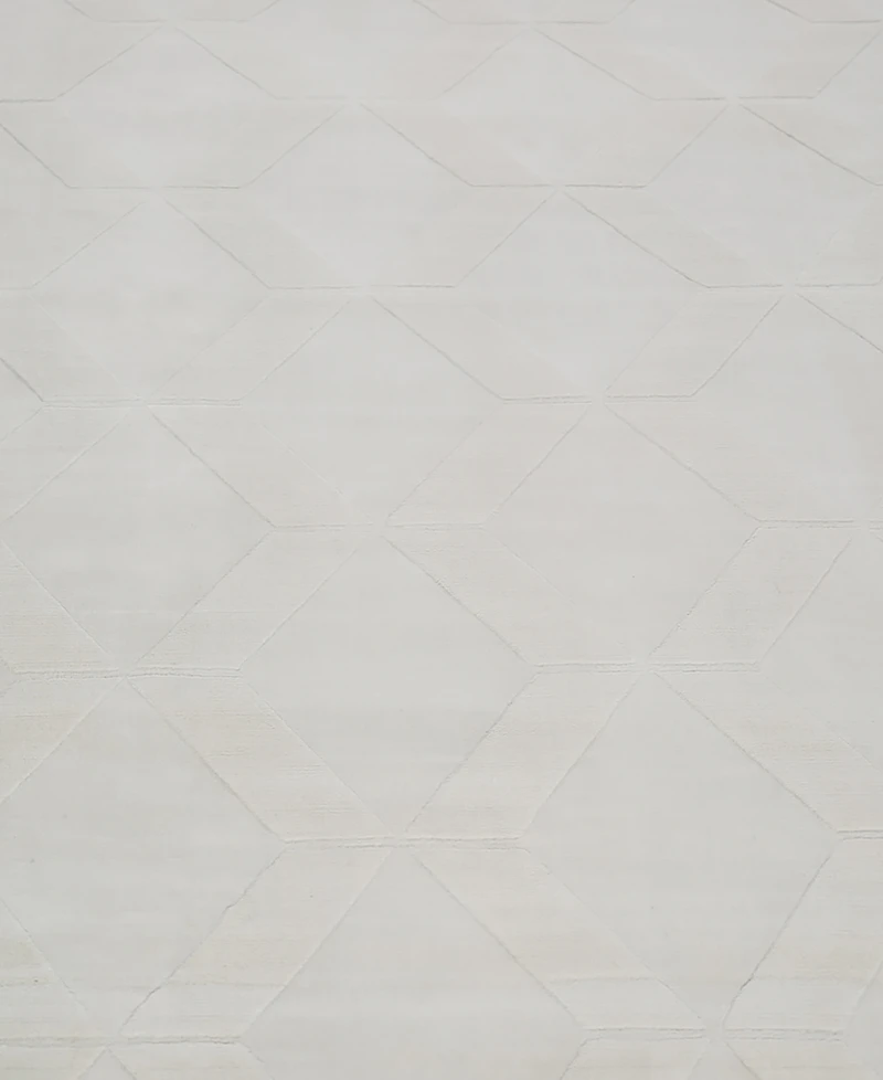 Exquisite Rugs Brunello Modern 6735 4'0"x6'0" Area Rug