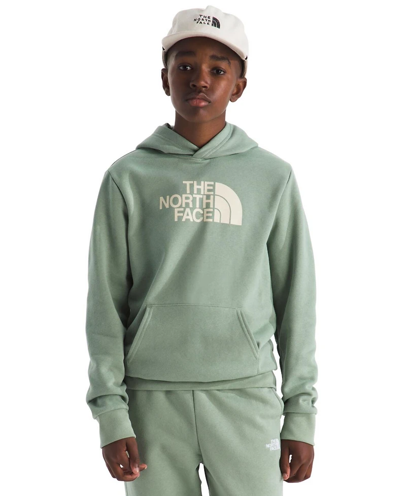 The North Face Big Boys Evolution Half Dome Pull On Hoodie