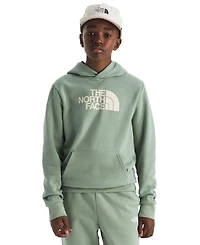 The North Face Big Boys Evolution Half Dome Pull On Hoodie