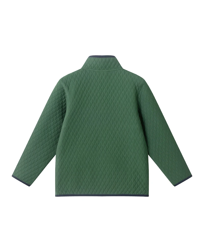 Andy & Evan Toddler/Child Boys Green Striped Quarter Zip Pullover