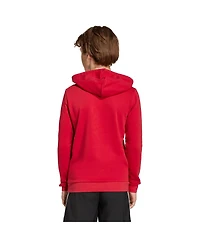Adidas Big Boys and Girls Red Liverpool Dna Hoodie