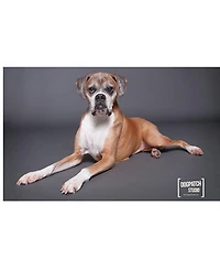 Savage Widetone Seamless Background Paper, 53" wide x 36', Thunder Gray, #27