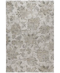 Dalyn Silk Road Washable SR2 3'x5' Area Rug