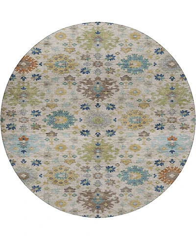 Dalyn Silk Road SR3 8'x8' Round Area Rug