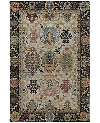 Dalyn Silk Road Washable SR5 6'6"x9'6" Area Rug