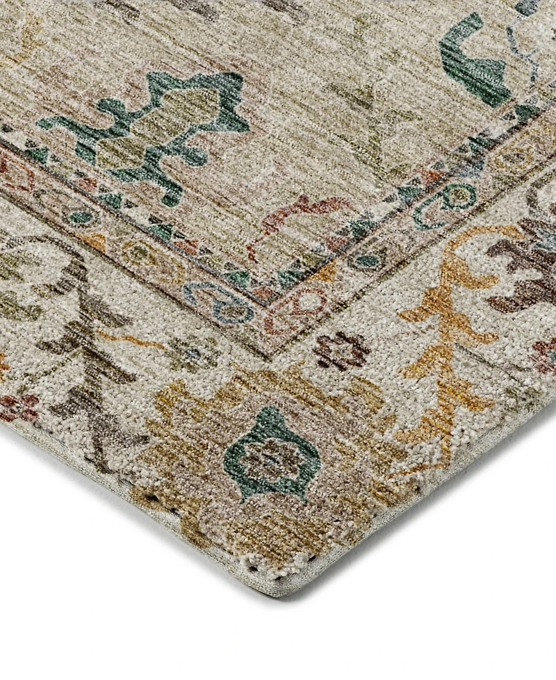 Dalyn Silk Road Washable SR5 3'x5' Area Rug
