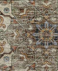 Dalyn Silk Road Washable SR6 2'3"x7'6" Runner Area Rug
