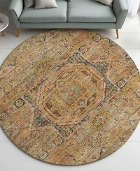 Dalyn Silk Road SR10 8'x8' Round Area Rug