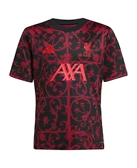 Adidas Big Boys and Girls Black Liverpool 2025/26 Pre-Match Jersey