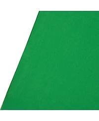 Westcott 9x20' Wrinkle-Resistant Backdrop, Chroma-Key Green