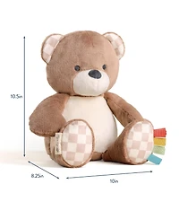 Itzy Ritzy Baby SweetieSnuggles Bear