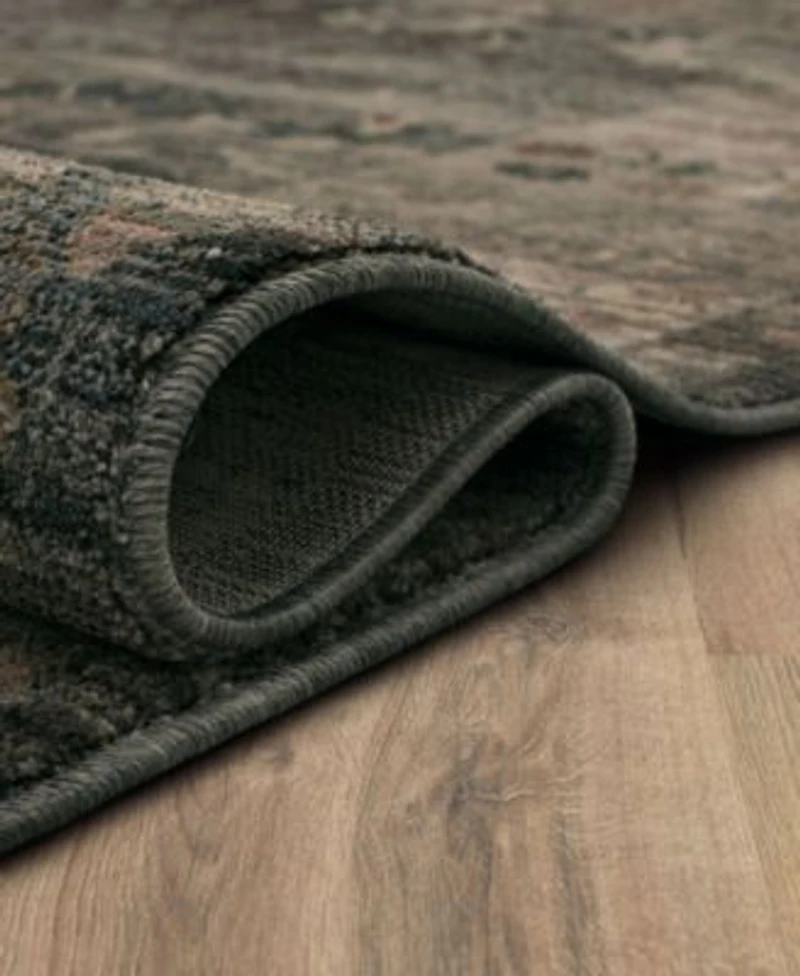 Karastan Echo Grasole Area Rug