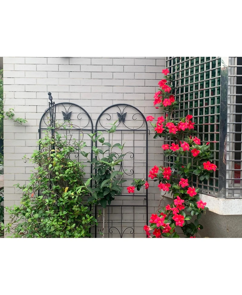 Streamdale Furniture Metal Garden Trellis 2-Pack for Climbing Plants