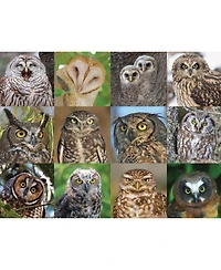 New York Puzzle Company Owls and Owlets 1000 Piece Puzzle