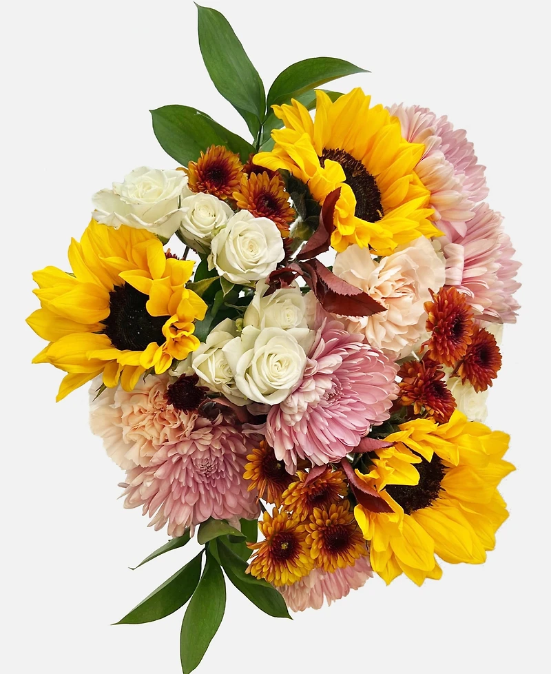 UrbanStems The Sunflower Field Fresh Flower Bouquet