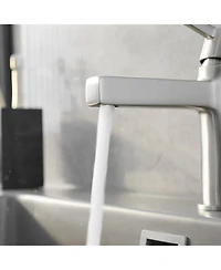 Single Handle Single Hole Modern Bathroom Faucet Bathroom Drip-Free Vanity Sink Faucet in Brushed Nickel