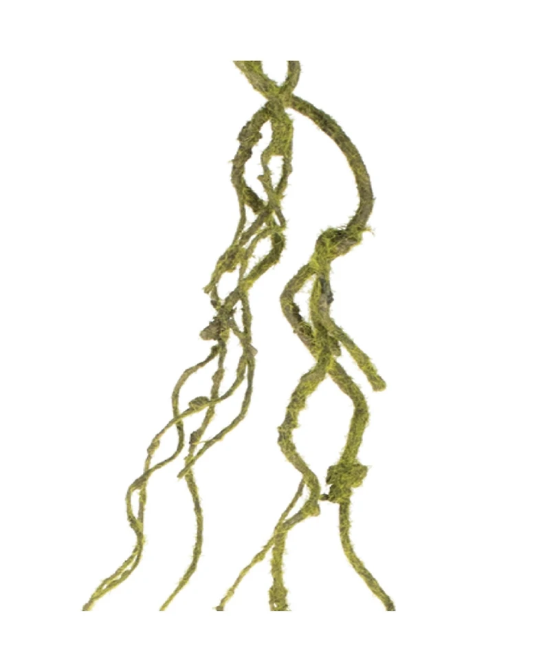 Rustic Mossy Vine for Decor and Floral Arrangements (Set of 6)