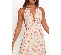 Petal and Pup Women's Wilder Halterneck Maxi Dress - Pink Floral