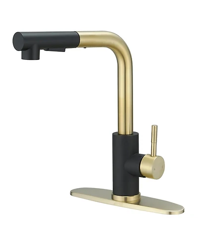 Greenspring 2 Sprayer Single Hole Single-Handle Pull Out Kitchen Faucet in Matte Black and Brushed Gold