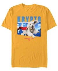 Fifth Sun Men's Superman 2025 Krypto Crewneck T-Shirt