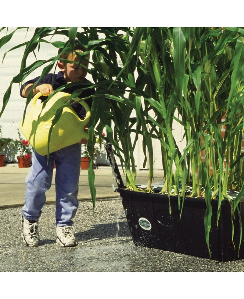 EarthBox: Ready to Grow Base Kit