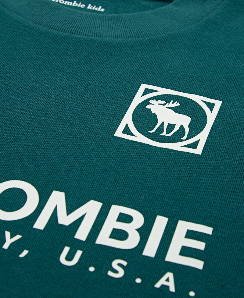 abercrombie kids Little and Big Boys Emblems T-Shirt