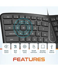 Delton KB250 Ergonomic Keyboard with Wrist Rest Pad (DKBE250-u)