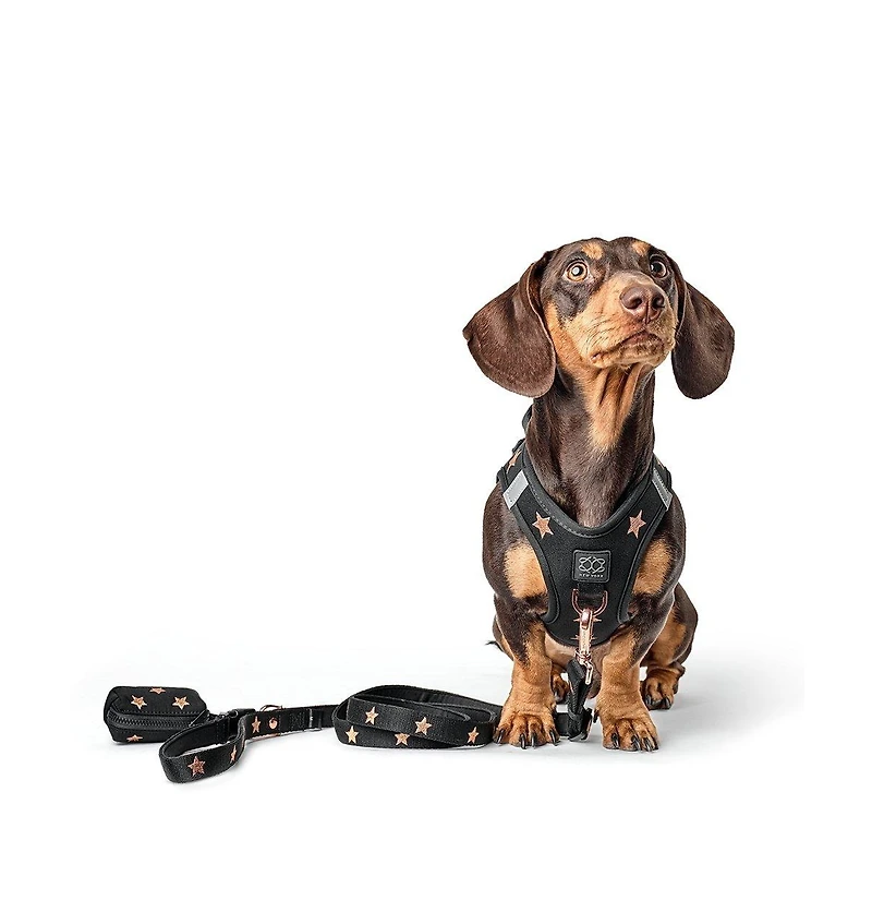Dogistry 3-in-1 City Dog Leash - Rockstar