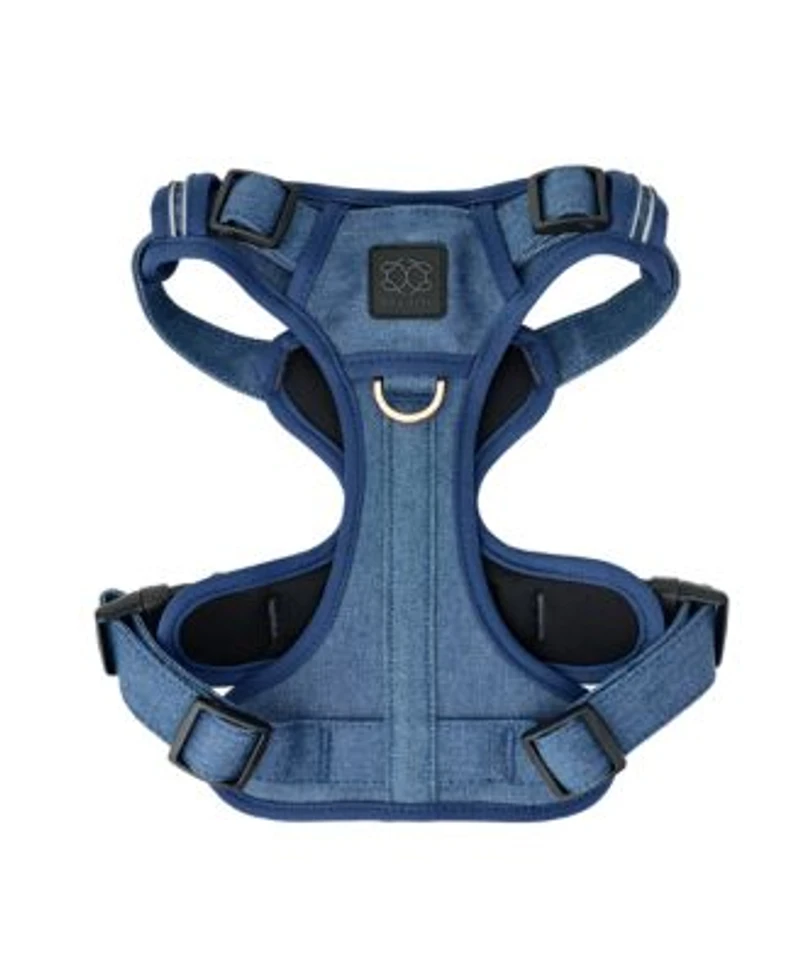 Dogistry The NoMad Adjustable Luxe Harness