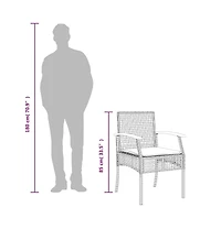 Garden Chair Grey and brown