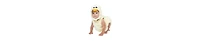 Dress Up America Little Duck Romper & Hood Costume Set - Infants Boys Girls