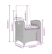 vidaXL Reclining Garden Chair set of 2 Grey Pe rattan Standard
