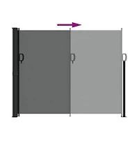 vidaXL Retractable Side Awning Anthracite