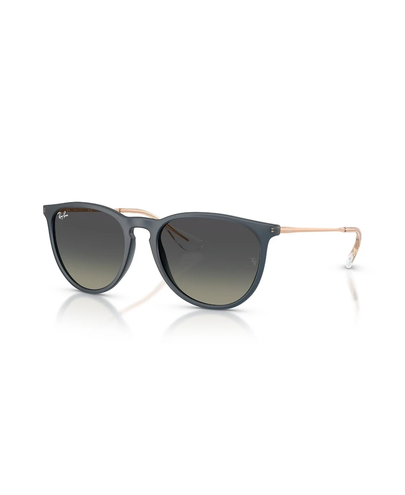 Ray-Ban Women's Round Sunglasses, Erika Classic RB4171