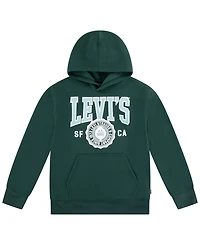 Levi's Boys 8-20 Sporty Long Sleeve Hoodie