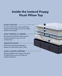 Serta Perfect Sleeper Iceland Poppy 14" Plush Pillow Top Mattress Set, Twin