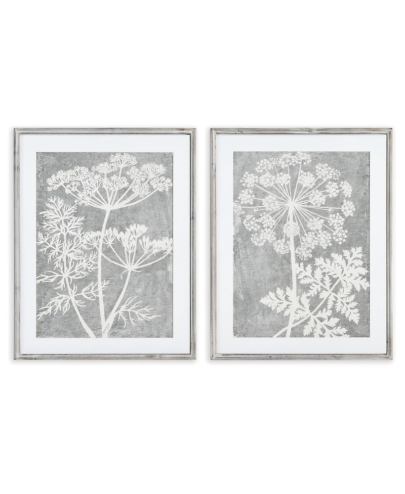 Blooming Queen Anne's Lace Prints, Set Of 2